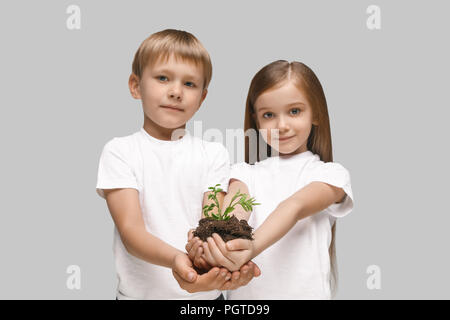 Kids hands with seedlings on studio background. Spring, plant, nature, growing and care concept. Caucasian little girl and boy Stock Photo