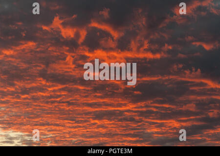 the sky at dawn clouds and bright flashes of purple scarlet, saturated color, natural nature sunrise, Stock Photo