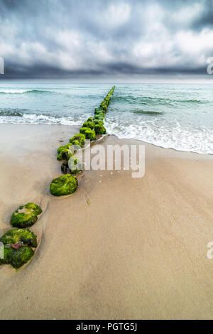 landscape ,old breakwater overgrown with seaweed Stock Photo