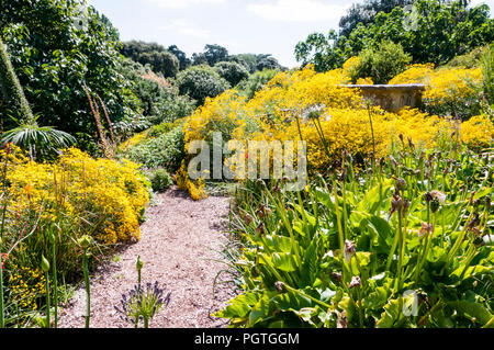 The Southern Hemisphere Garden at Ventnor Botanic Garden on the Isle of Wight. Stock Photo