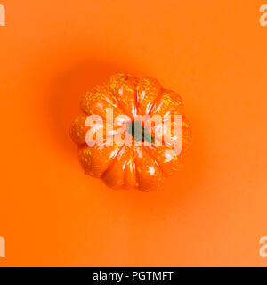 orange pumpkin on an orange background. Happy Halloween! Stock Photo