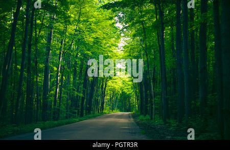 Awenda Provincial Park Stock Photo