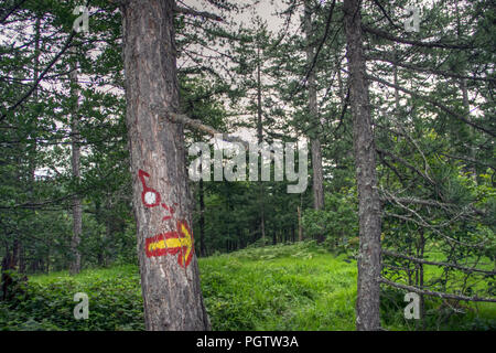 TARA National Park, Western Serbia - A mountain hiking route marker on a tree trunk Stock Photo