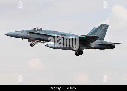 A McDonnell Douglas CF-18 Hornet fighter jet of the Royal Canadian Air Force. Stock Photo