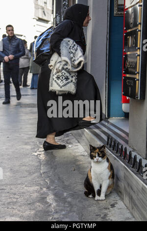ISTANBUL, TURKEY - DECEMBER 27, 2015: Stray cat standing in front of a shop while a muslim woman wearing the modest clothing with the traditional scar Stock Photo