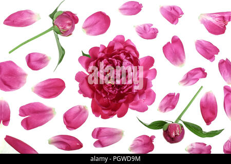 Pastel colored paper craft rose flat lay background with flowers and leaves  around the endges and pink empty copy space in middle Stock Photo - Alamy