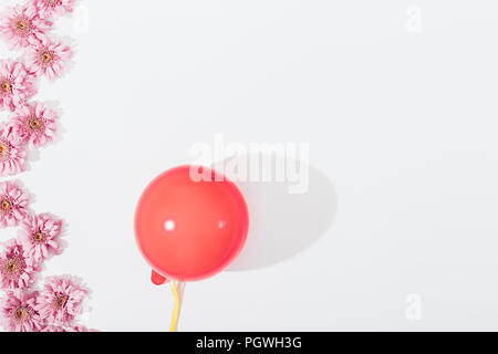 Floral flat lay frame of pink flower heads and inflated red balloon on white background. Side border with copy space made of blooming daisy buds, top  Stock Photo