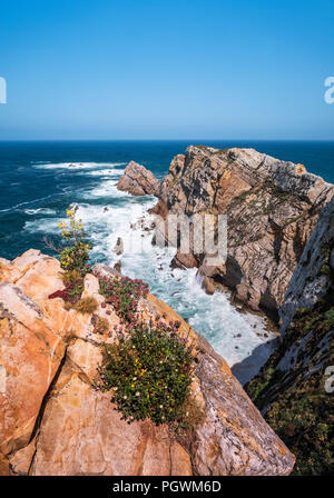 Flower-covered steep coast at Cape Cabo Peñas, Gozón, Costa Verde, Asturias, Spain Stock Photo