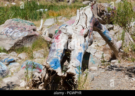 Graffiti on a fallen tree (graffiti in nature) - California USA Stock Photo