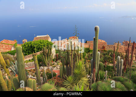 Botanical Garden of Eze, with various cacti on foreground, aerial view, French Riviera, Europe Stock Photo