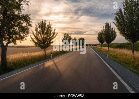 Countryside image with a beautiful sunset over a straight endless street, surrounded by trees and agricultural fields, near Schwabisch Hall, Germany.
