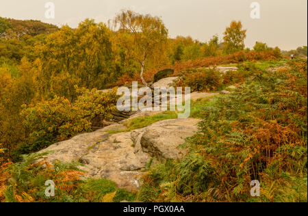 Autumn colour on Shipley Glen in Baildon, Yorkshire. Stock Photo