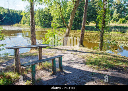 rough wooden table near the lake in the forest on sunny summer day Stock Photo