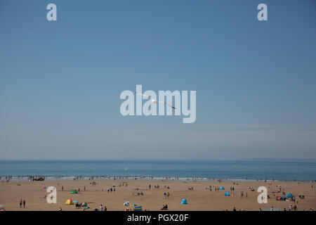 seagull flying over Woolacombe Beach on a beautiful sunny day, north Devon, UK Stock Photo