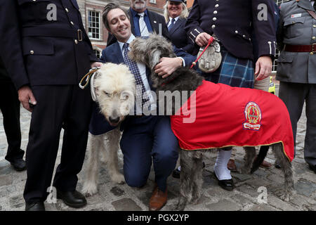 Minister for Health Simon Harris with Irish wolfhounds Darcy (left), mascot to the ambulance service, and Seodin, mascot to the Dublin fire brigade, at the launch of a new national day to recognise the unsung heroes from frontline and emergency services at Dublin Castle. Stock Photo