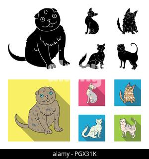 Turkish Angora, British longhair and other species. Cat breeds set collection icons in black, flat style vector symbol stock illustration . Stock Vector