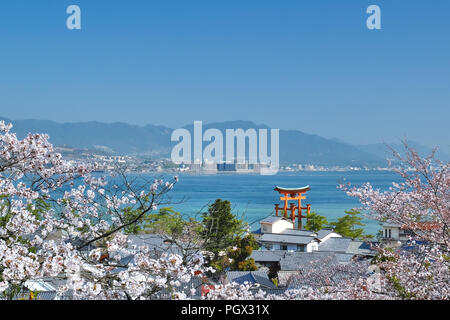 Aerial view of the Great Torii gate floating on the sea with cherry blossoms  in Miyajima, Japan. Stock Photo