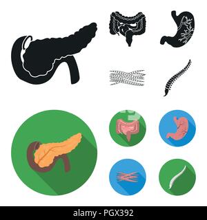 Intestines, stomach, muscles, spine. Organs set collection icons in black, flat style vector symbol stock illustration . Stock Vector
