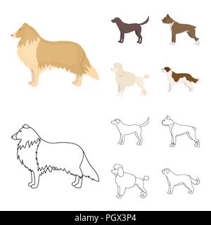 Collie, labrador, boxer, poodle. Dog breeds set collection icons in cartoon,outline style vector symbol stock illustration . Stock Vector