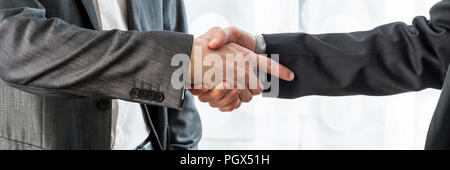Wide cropped view of two businessmen shaking hands to celebrate a successful agreement. Stock Photo