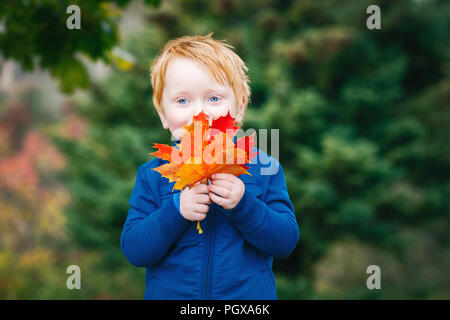 Portrait of cute funny adorable smiling Caucasian red-haired boy with blue eyes holding autumn fall leaves in park Stock Photo