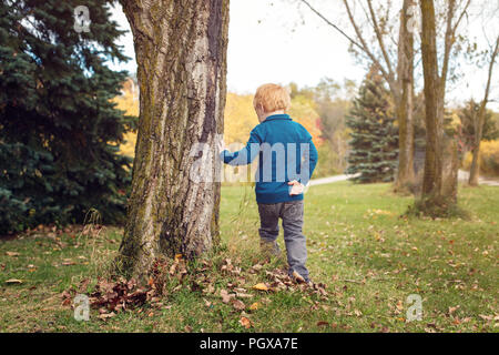 Cute adorable little red-haired Caucasian boy playing in autumn fall park outside. Child kid turning, going away, leaving. View from back Stock Photo