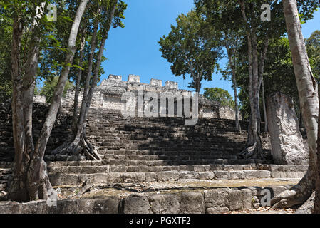 The ruins of the ancient Mayan city of calakmul, campeche, Mexico. Stock Photo