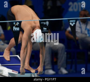 Budapest, Hungary - Jul 26, 2017. Budapest 2017 logo on the backstroke indicator. Swimmer behind the backstroke indicator. FINA Swimming World Champio Stock Photo