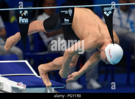 Budapest, Hungary - Jul 26, 2017. Budapest 2017 logo on the backstroke indicator. Swimmer behind the backstroke indicator. FINA Swimming World Champio Stock Photo