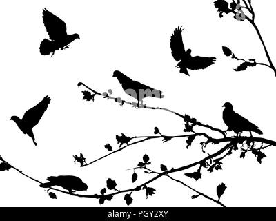Pigeons silhouettes background, vector illustration Stock Vector