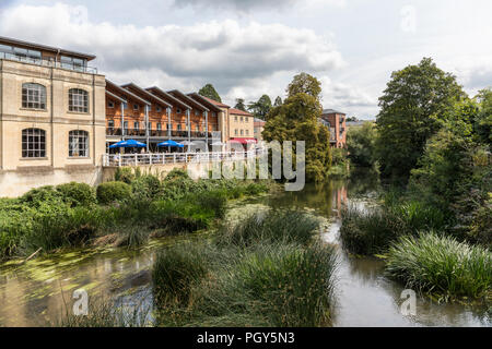 Historic town of Bradford on Avon picturing Kingston Mills and The Weaving Shed Restaurant. River Avon grasses due to low river level. Wiltshire, UK Stock Photo