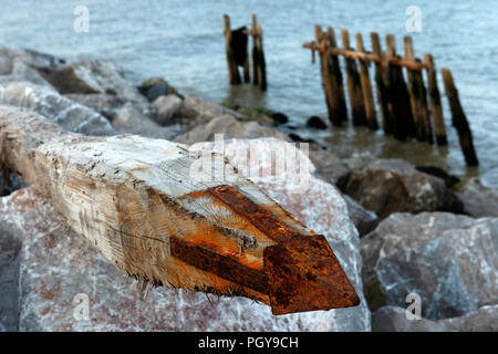 Washed up wooden groyne and rock armour, East Lane, Bawdsey, Suffolk, UK. Stock Photo