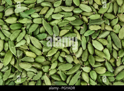 Dry green cardamom background Stock Photo