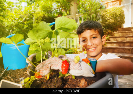 Portrait of happy preteen boy, wearing gardening gloves, planting strawberries in container Stock Photo
