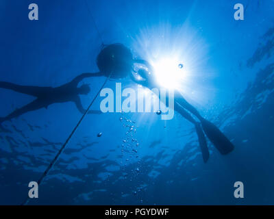 Freedivers in the sea Stock Photo