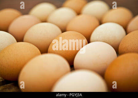 Eggs Stock Photo