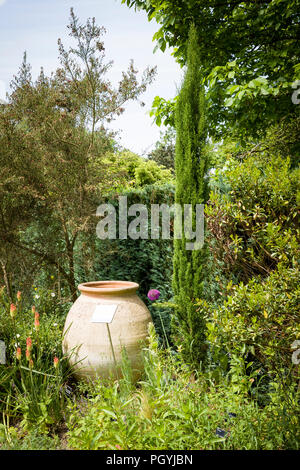 A section of the Mediterranean garden at Rosemoor South Devon UK featuring a Cupressus sempervirens Totem Pole Stock Photo