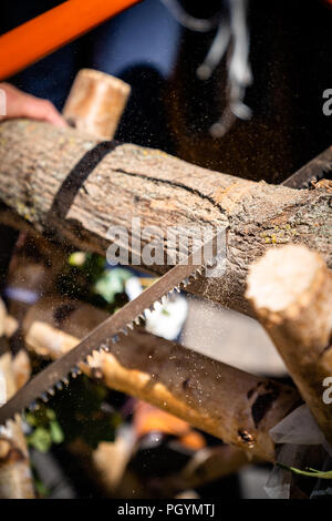 The sawhorse with wood on the wedding Stock Photo