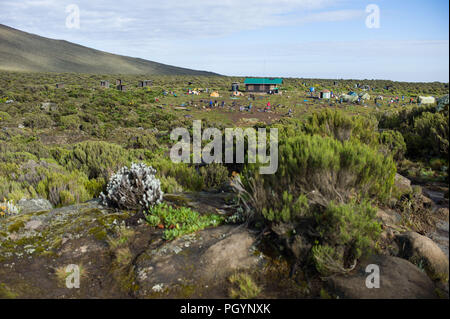 Scenic view of Shira 1 Camp, Shira Plateau, Moorland zone, Mount Kilimanjaro, Kilimanjaro Region, Tanzania. Stock Photo