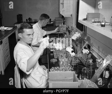 Black and white photograph of Dr PR Edwards of the US Public Health Service (background) and George Herman (foreground) seated in the Enteric Bacteriology Unit laboratory, performing a study focused on bacterial organisms known to cause gastrointestinal diseases, including diarrhea and dysentery, with a large number of glass vials visible on the table in front of them, photographed circa 1948 to 1963, image courtesy CDC, 1980. () Stock Photo