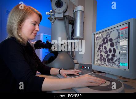 Centers for Disease Control and Prevention (CDC) intern, Maureen Metcalfe using transmission electron microscopes (TEM), 2011. Image courtesy Centers for Disease Control / Cynthia Goldsmith. () Stock Photo