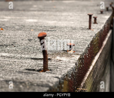 Rusty nails in an old wood board Stock Photo