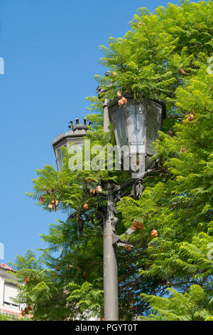 old black lamp near the green tree in the park Stock Photo