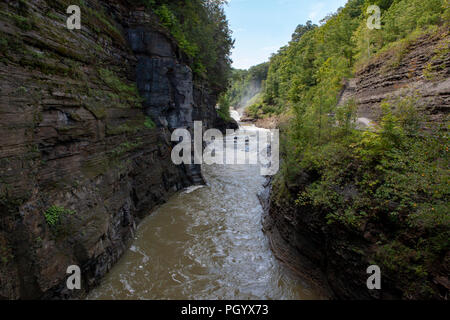 The Genesee River passes through a gorge in Letchworth State Park in Castile, NY, USA. Stock Photo