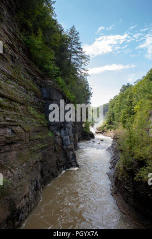 The Genesee River passes through a gorge in Letchworth State Park in Castile, NY, USA. Stock Photo