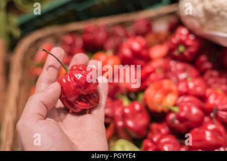 Peppers on a counter in the supermarket. A large number of peppers in a pile Stock Photo