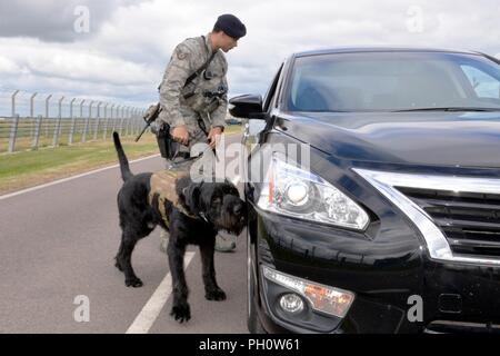 U.S. Air Force Staff Sgt. Alexandre Rogan, 100th Security Forces Squadron Military Working Dog trainer, and MWD Brock inspect a vehicle in response to a simulated security incident during an exercise at RAF Mildenhall, England, June 20, 2018. Such exercises are regularly scheduled to test responsiveness and readiness of base personnel. Stock Photo