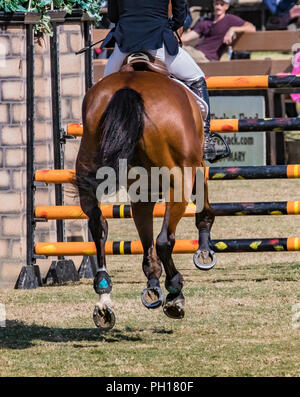 flying hooves at the showpark racing festival 1.45m Gold Tour