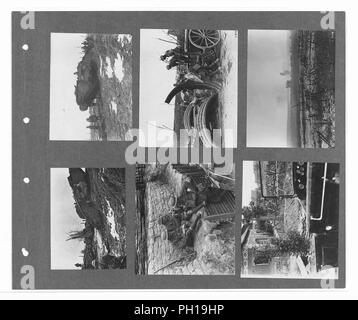 Canadian War Memorials Fund. Canadian Official War Photographs Volume 3 . Stock Photo