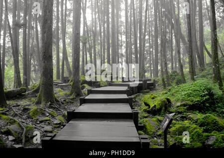 Taiwan Lifestyle beaches trains Kaohsiung Alishan Stock Photo